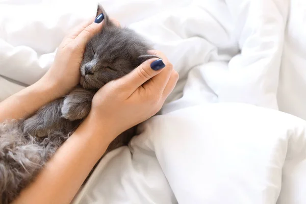 Cute cat with owner resting on bed. Concept of heating season