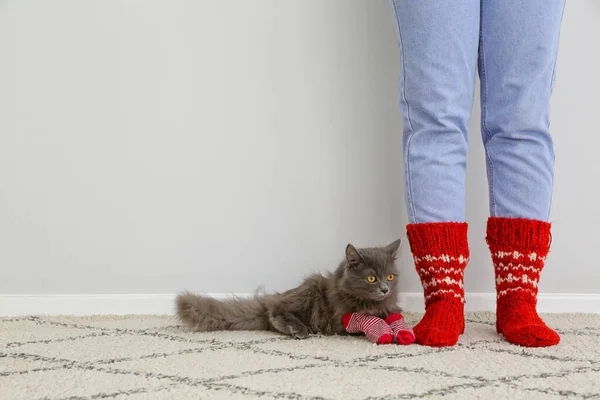 自宅で所有者とかわいい猫 暖房期の概念 — ストック写真