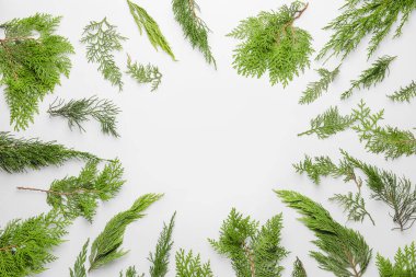 Beyaz arkaplanda Noel ağacı dallarından yapılmış çerçeve