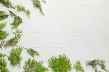 Beyaz ahşap arka planda Noel ağacı dalları