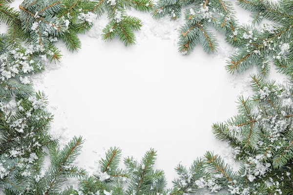 美丽的圣诞树枝条 雪白的背景 — 图库照片