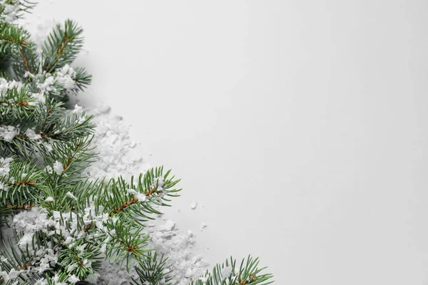 美丽的圣诞树枝条 雪白的背景 — 图库照片