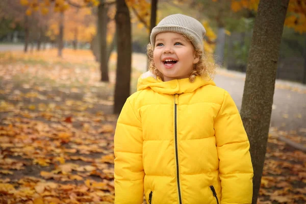 Cute Little Girl Autumn Park — Stock Photo, Image
