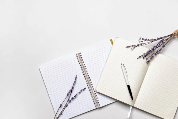 Cuadernos Con Pluma Sobre Fondo Blanco —  Fotos de Stock