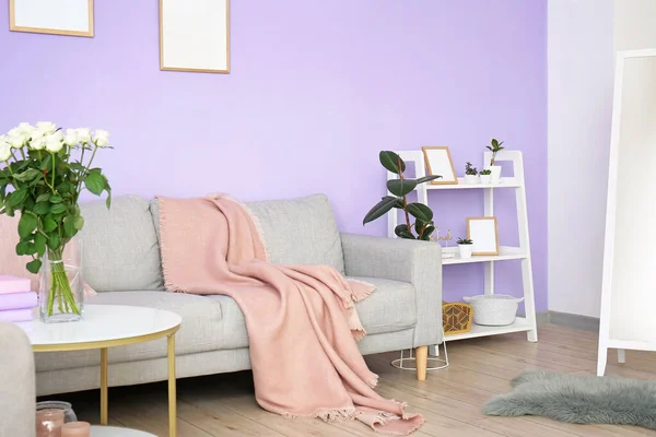Stylish Interior Living Room Sofa — Stock Photo, Image