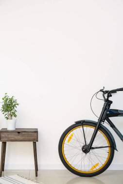 Bisikletli ve çiçekli modern odanın içi