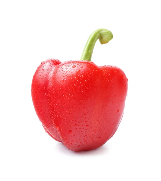 Pimiento Rojo Sobre Fondo Blanco — Foto de Stock