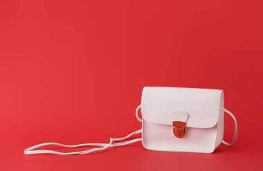 Renk arkaplanında şık çanta