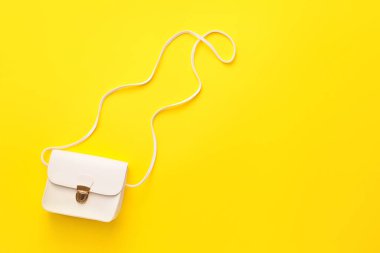 Renk arkaplanında şık çanta