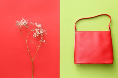 Renk arkaplanında şık çanta