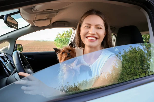 Vrouw Met Schattige Hond Reist Met Auto — Stockfoto