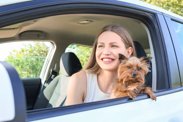 Happy Woman Cute Dog Modern Car — Stock Photo, Image