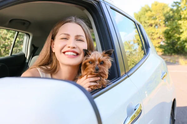 Happy Woman Cute Dog Modern Car — Stock Photo, Image