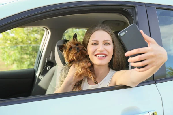 Woman Cute Dog Taking Selfie Car — Stock Photo, Image