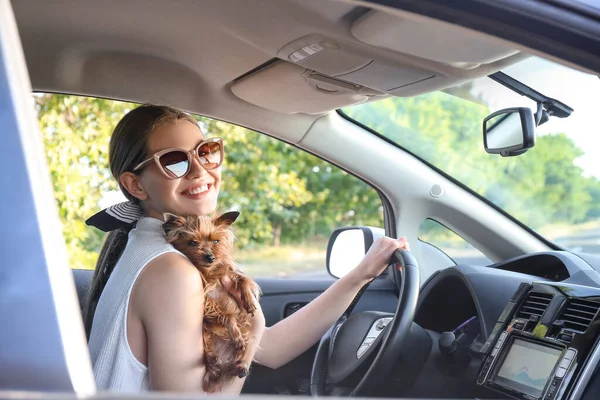 Woman Cute Dog Traveling Car — Stock Photo, Image
