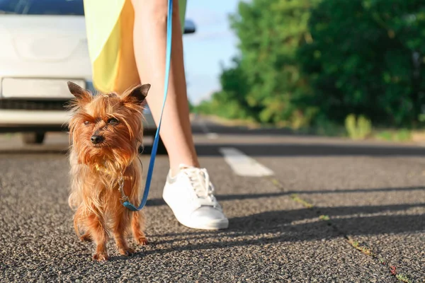 Mujer Con Lindo Perro Con Correa Cerca Coche Moderno — Foto de Stock