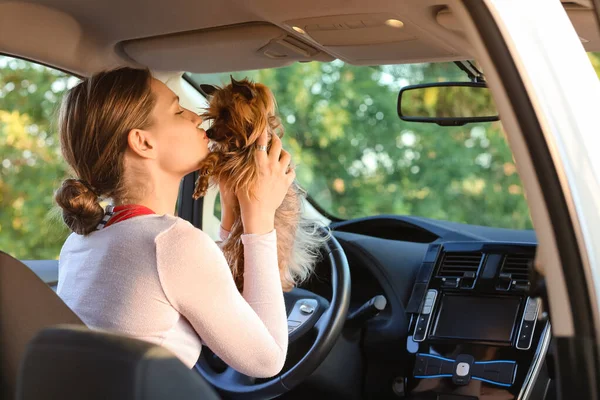 Mulher Com Cão Bonito Carro Moderno — Fotografia de Stock