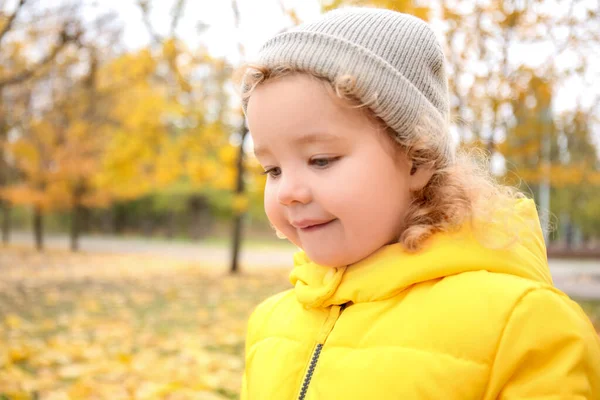 Cute Little Girl Autumn Park — Stock Photo, Image