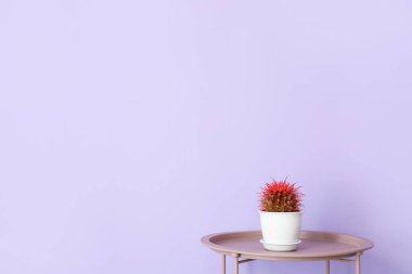 Renk arkaplanında kaktüs olan masa