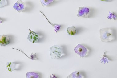 Buz içinde donan güzel çiçekler ışık arka planında