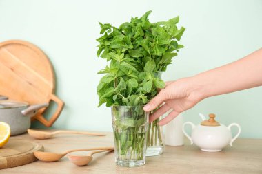 Kadın eli ve mutfak masasında taze nane şekeri.