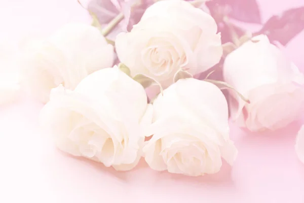 Hermosas Rosas Blancas Sobre Fondo Color — Foto de Stock