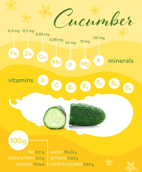 Komkommer Met Gespecificeerde Componenten Kleur Achtergrond — Stockfoto
