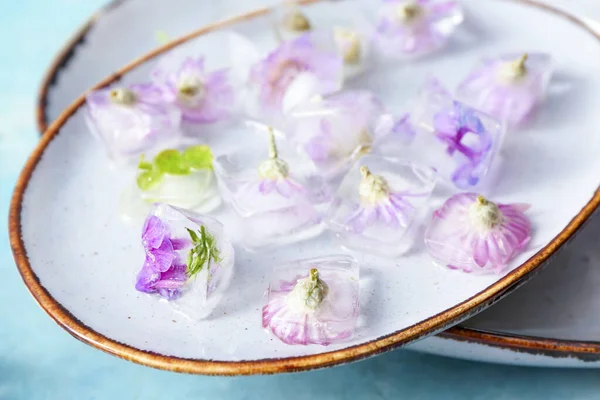 Placas Con Flores Congeladas Hielo Sobre Fondo Color — Foto de Stock