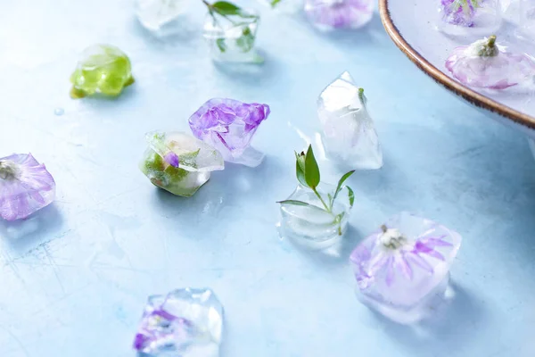 Beautiful Flowers Frozen Ice Color Background — Stock Photo, Image