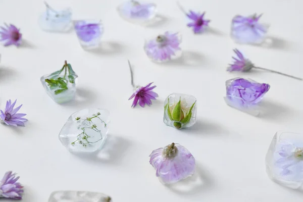 Beautiful Flowers Frozen Ice Light Background — Stock Photo, Image
