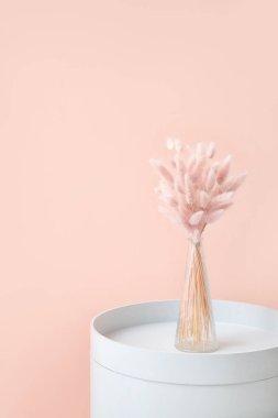 Odadaki renkli duvarın yanında çiçekli vazo.