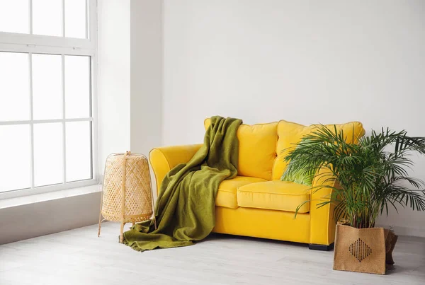 Stylish Interior Room Cozy Sofa —  Fotos de Stock