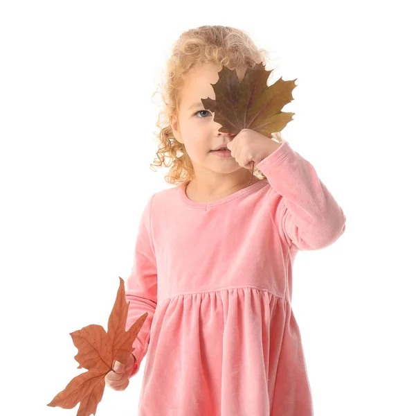 Cute Little Girl Autumn Leaves White Background — Stock Photo, Image