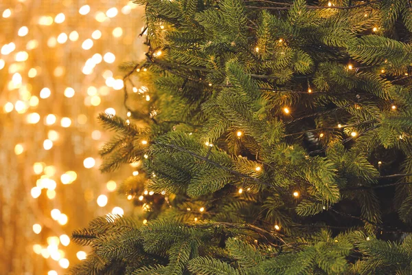 Tanne Mit Weihnachtsbeleuchtung Nahaufnahme — Stockfoto