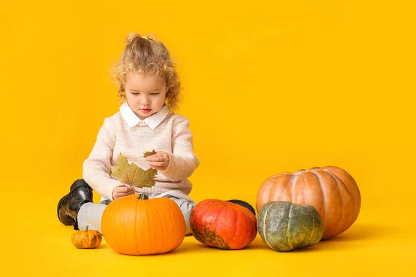 Petite Fille Mignonne Avec Des Citrouilles Sur Fond Couleur — Photo