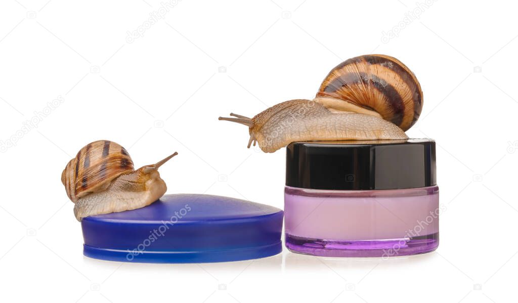 Grapevine snails and jar with cream on white background