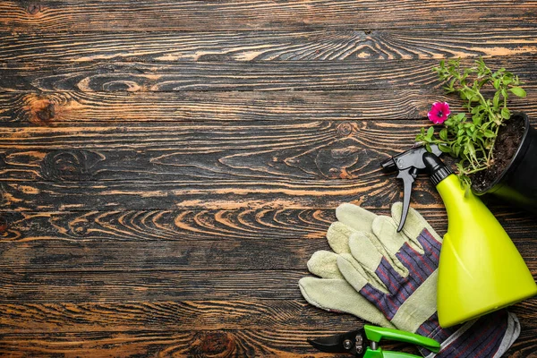 Set Gardening Supplies Plant Wooden Background — Foto de Stock