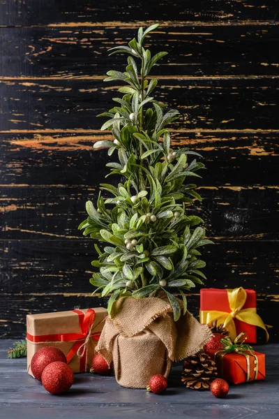 Beautiful Christmas Composition Mistletoe Plant Dark Wooden Background — Stock Photo, Image