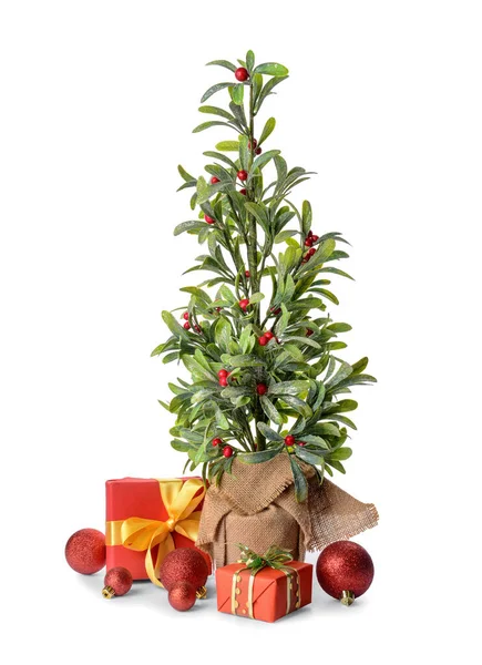 Mooie Kerstcompositie Met Maretak Plant Witte Achtergrond — Stockfoto