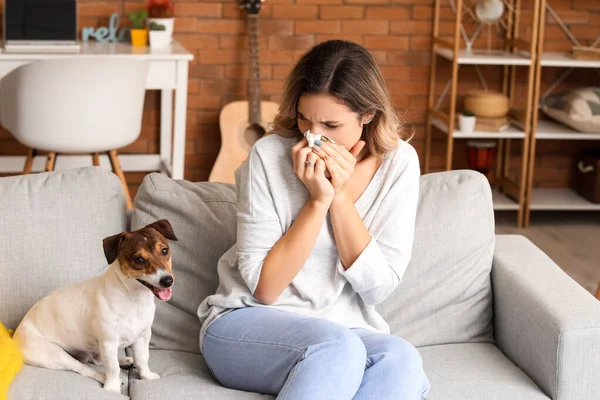 Mujer Joven Que Sufre Alergia Las Mascotas Casa —  Fotos de Stock