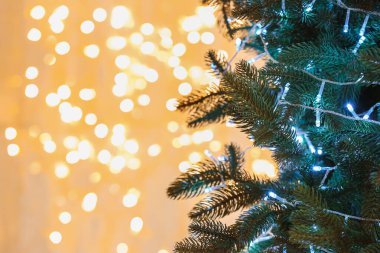 Bulanık ışıklara karşı Noel ışıkları olan fidan ağacı