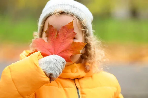 Cute Little Girl Autumn Park — Stock Photo, Image