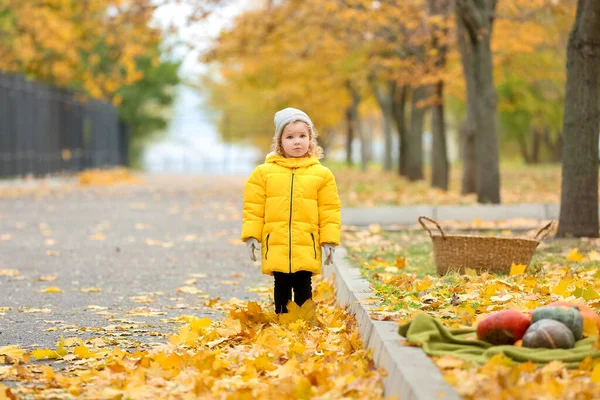 Cute Little Girl Autumn Park — Stock Photo, Image