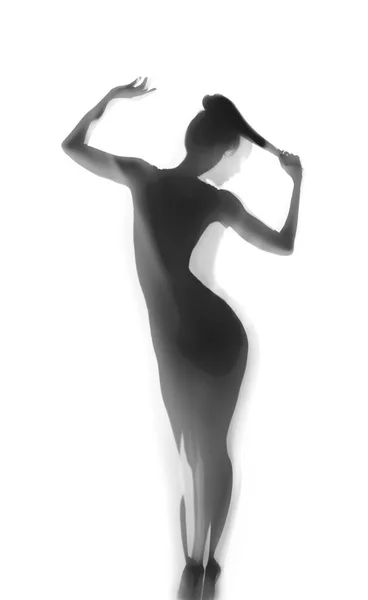 Silhouette Beautiful Sexy Woman Curtain White Background — Stock Photo, Image