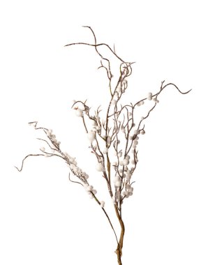 Beyaz arka planda Noel için güzel dekoratif dal