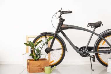 Beyaz duvarın yanında ev bitkisi olan modern bisiklet