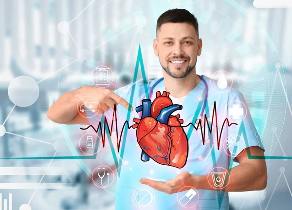 Mannelijke Cardioloog Wijst Naar Getekend Menselijk Hart — Stockfoto