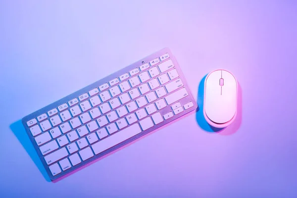 Computer Keyboard Mouse Color Background — Stock Photo, Image