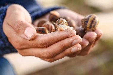 Salyangoz çiftliğinde çalışan işçi, yakın plan.