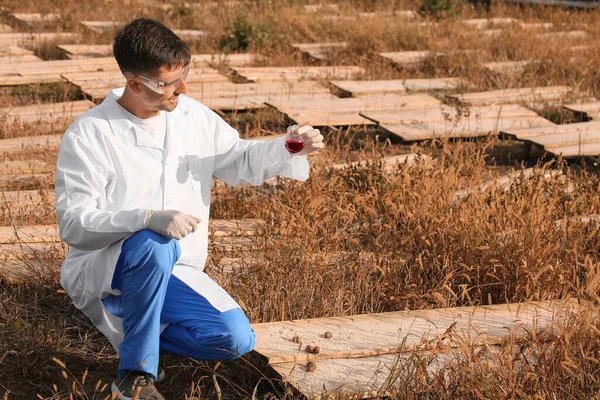 Cientista Que Estuda Caracóis Fazenda — Fotografia de Stock